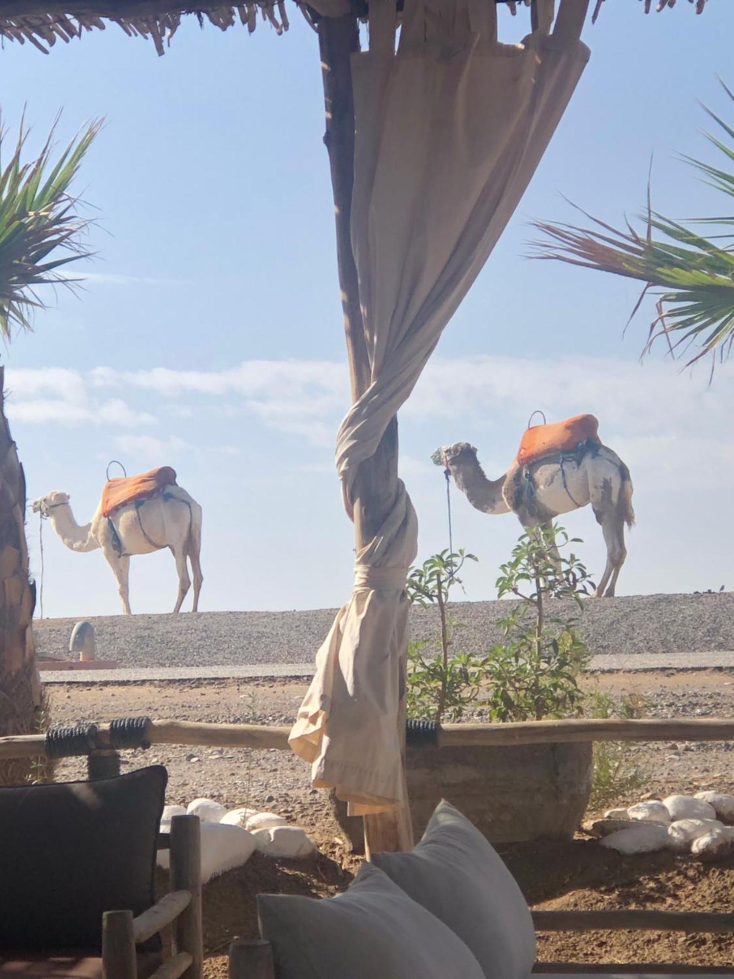 Riad Abbassia Marrakech Premiere 마라케시 외부 사진