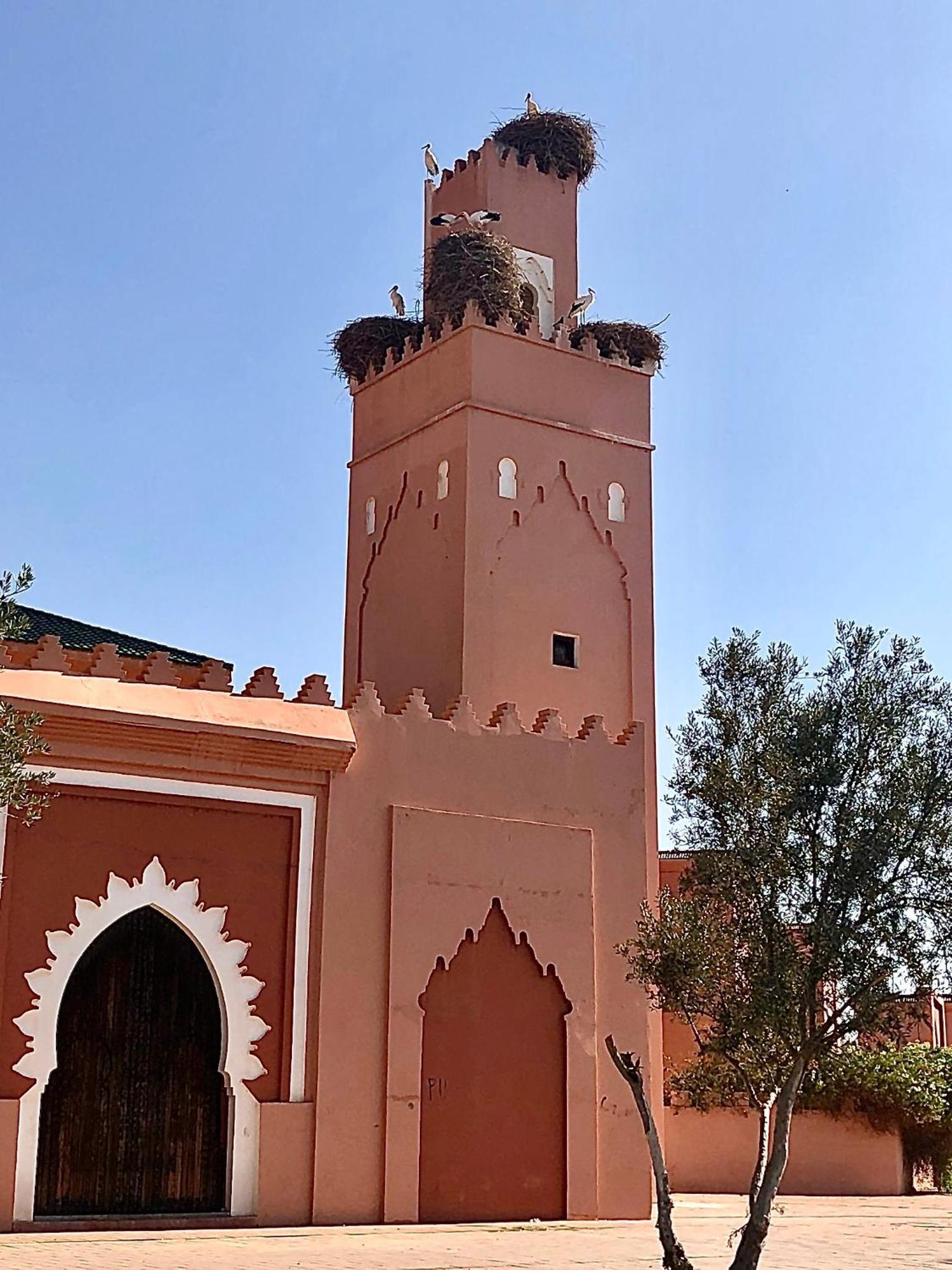 Riad Abbassia Marrakech Premiere 마라케시 외부 사진