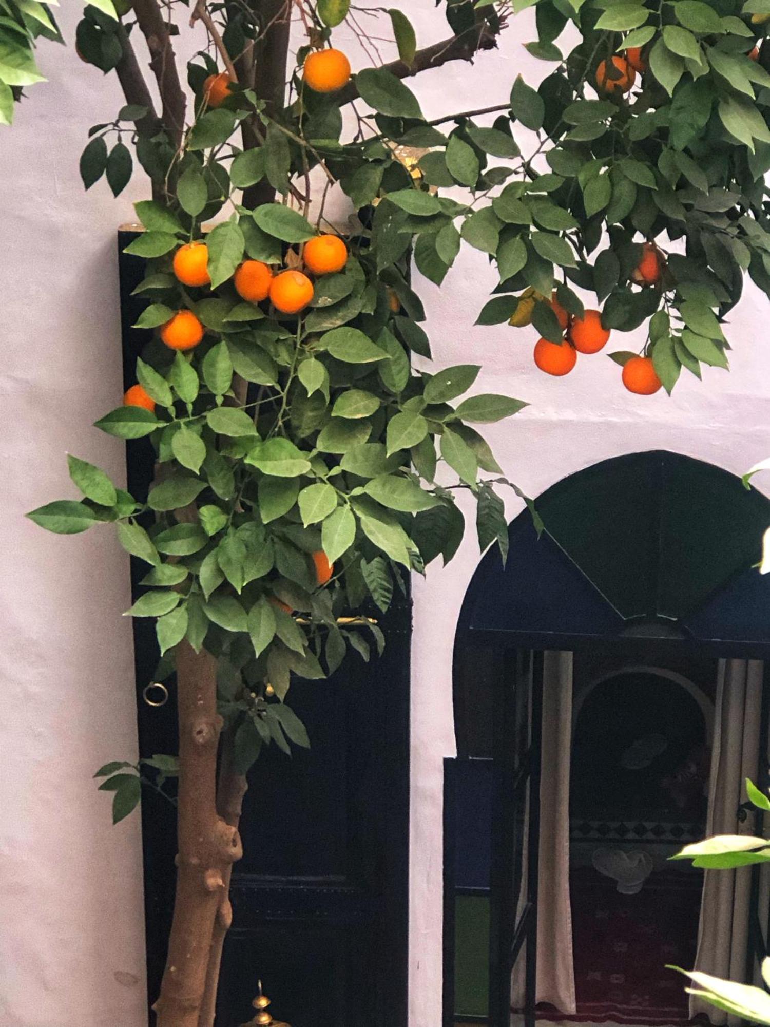 Riad Abbassia Marrakech Premiere 마라케시 외부 사진